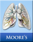 Icon: Moore's Clinical Anatomy Flash Cards (ModalityBody)
